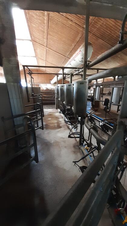Melkstand, Alfa Laval, Doppelvierer, Fischgrät