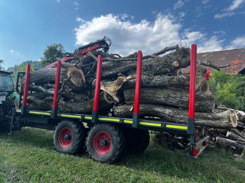 Brennholz zu verkaufen, Hartholz