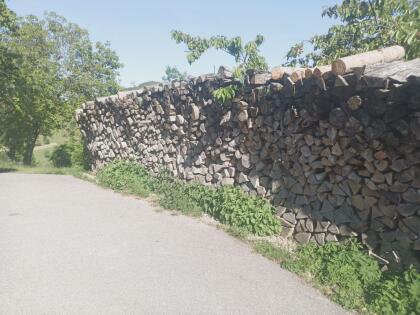 Brennholz