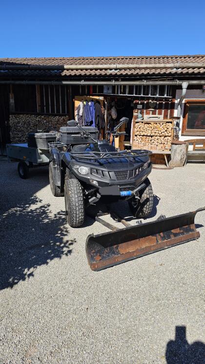 Konvolut ATV Dinli Centhor 565 mit Anhänger 400 kg