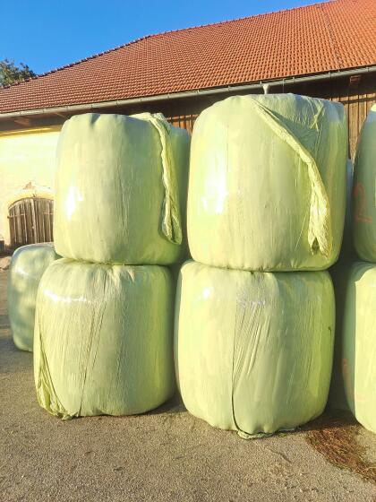 Gras- und Luzerne/Rotklee-Silage