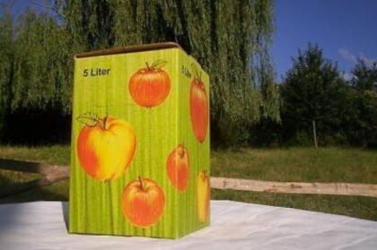 Frisch gepresster Apfelsaft