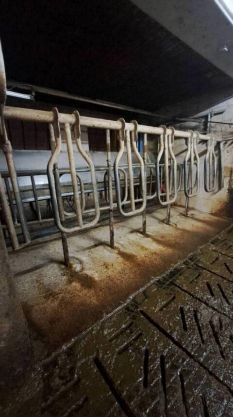 6er DeLaval Melkstand