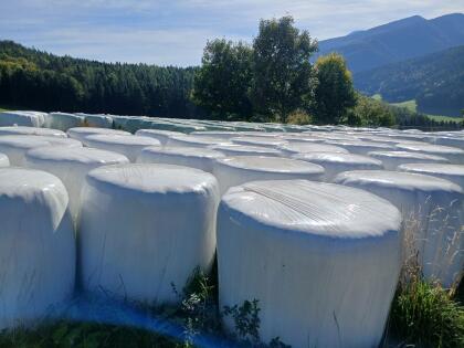 Silageballen