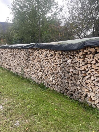 Buchen-Brennholz