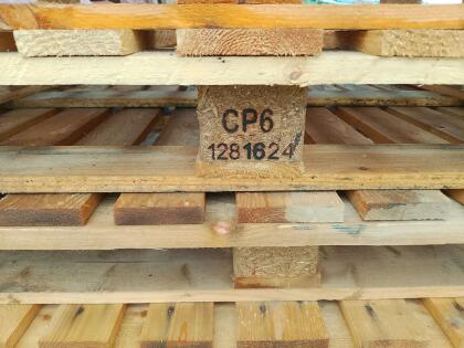 CP6 Paletten, neuwertig, top Zustand