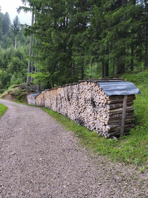 Brennholz