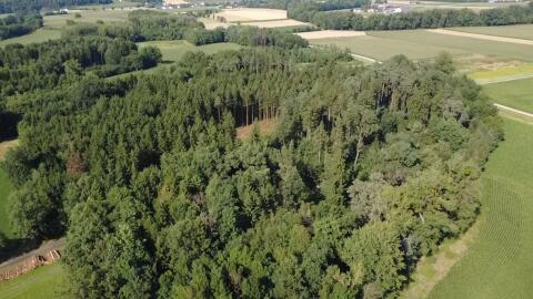 Suche Landwirtschaft