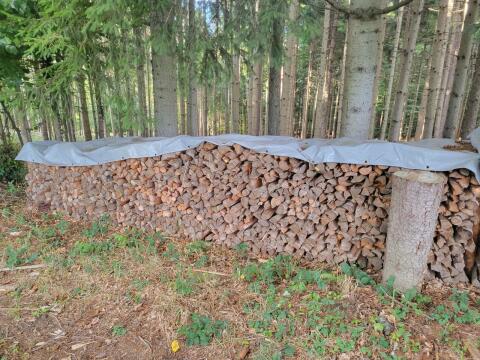 Brennholz Fichte/Kiefer