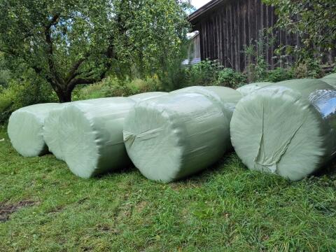 Heulage 2. Schnitt