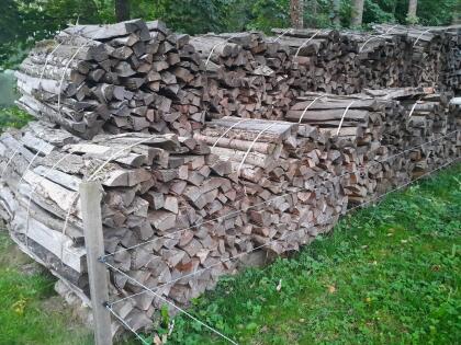 Brennholz Erle
