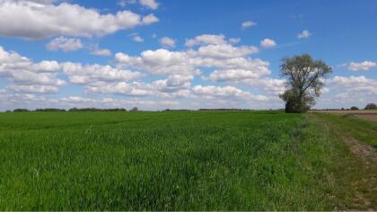 Suche Landwirtschaft