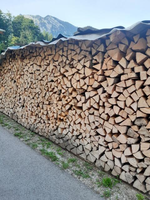Brennholz, Hartholz