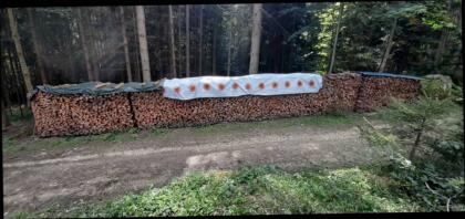 Fichten Brennholz