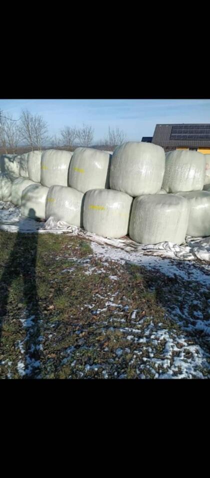 Siloballen Top Qualität