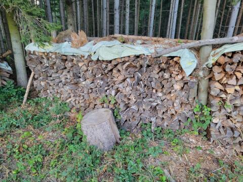 Brennholz Birke