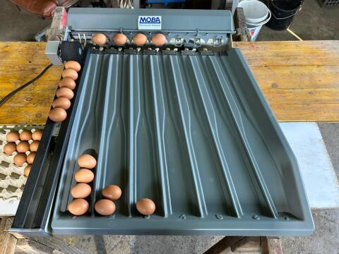 Moba Eiersortiermaschine