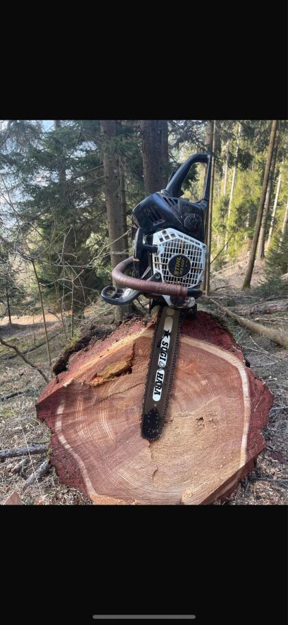Holzschlägerung