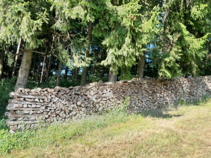 Brennholz