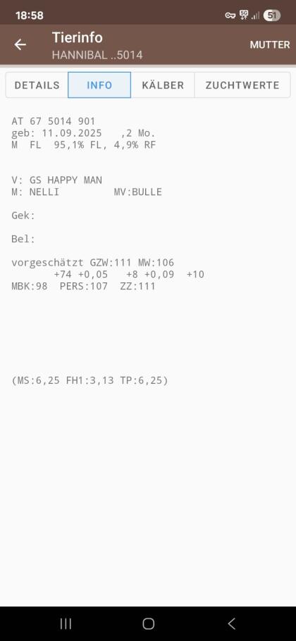 1 Bio Stierkalb Fleckvieh Hannibal
