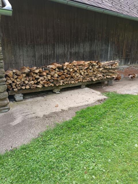 Brennholz, hart