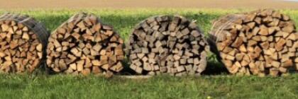 Brennholz