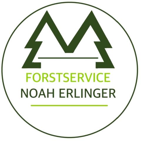 Forstservice Noah Erlinger – Baumabtragungen & Forstarbeiten