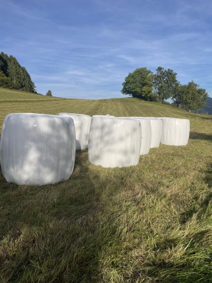 BIO-Gärheu mit vielen Wiesenkräutern zu verkaufen