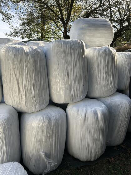 Verkaufe kleine Siloballen