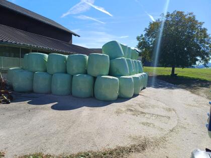Maissilageballen