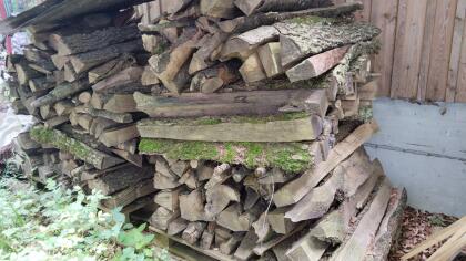 Brennholz