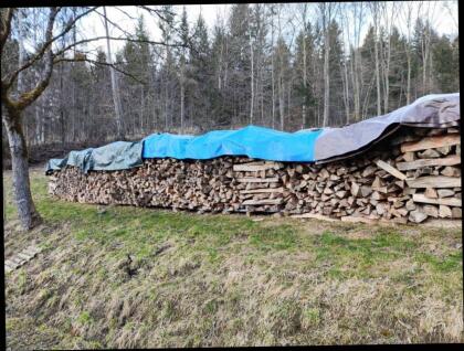 Brennholz