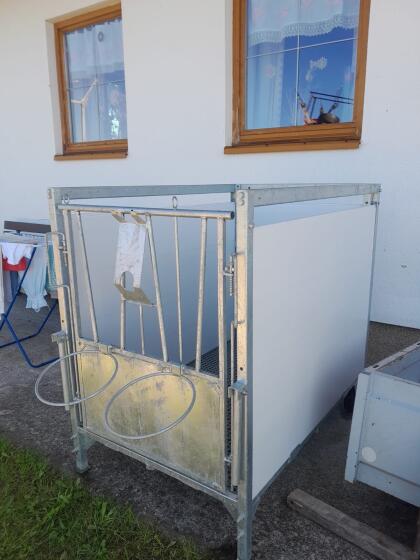 Kälberbox