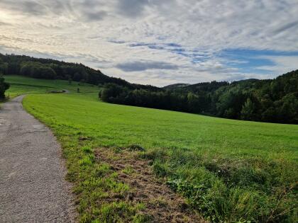 Wiese, Acker, Wald - Gallneukirchen - 4 ha