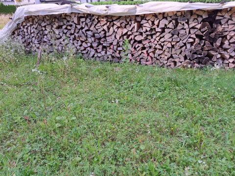 Brennholz Hartholz