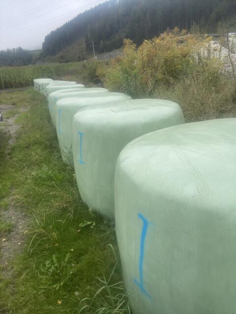 Grassilageballen