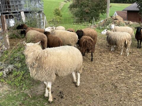 Bio Texel