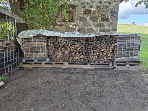 Brennholz Esche