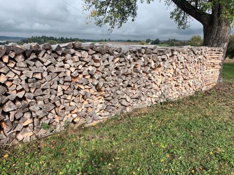Brennholz hart und weich