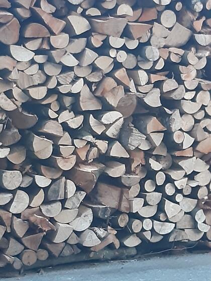 Brennholz
