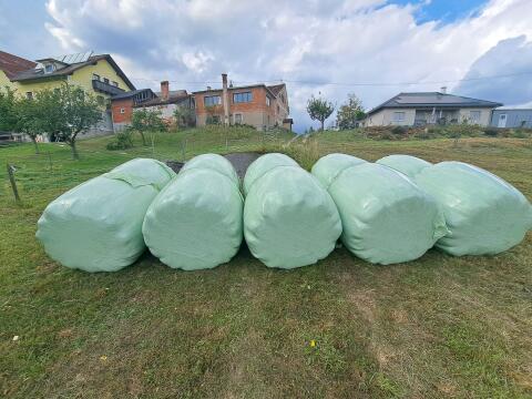 Heulage 2. Schnitt 2025