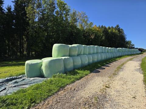 Bio Silo Ballen
