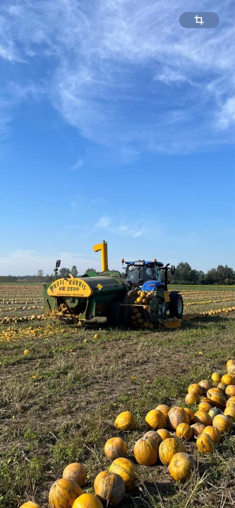Fürnschuss Kürbiskern Erntemaschine