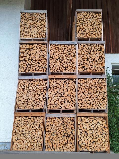 Brennholz Esche Ofenfertig