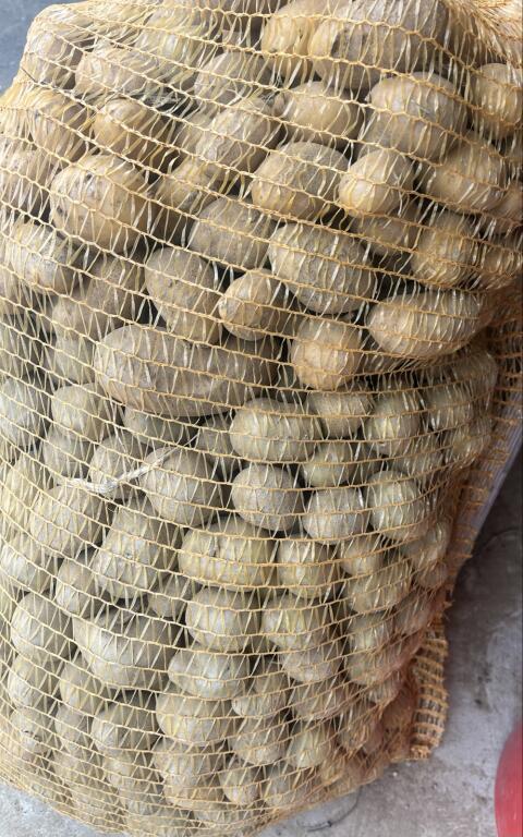 Bio-Futterkartoffeln