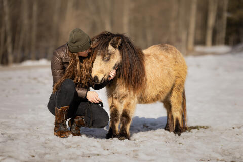 Traumhafte Mini-Pony Stute