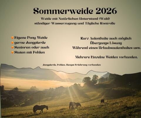 Sommerweide Platz Oberkärnten