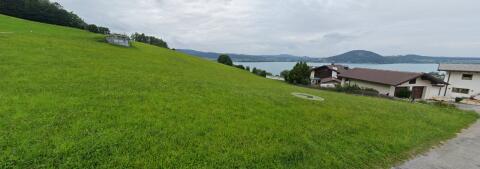 Grünland zu verpachten, Futterwiese