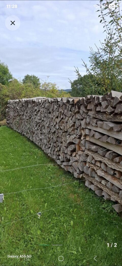 Brennholz