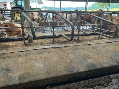 Diverse Aufstallung, Milchtank, Kälbertränker